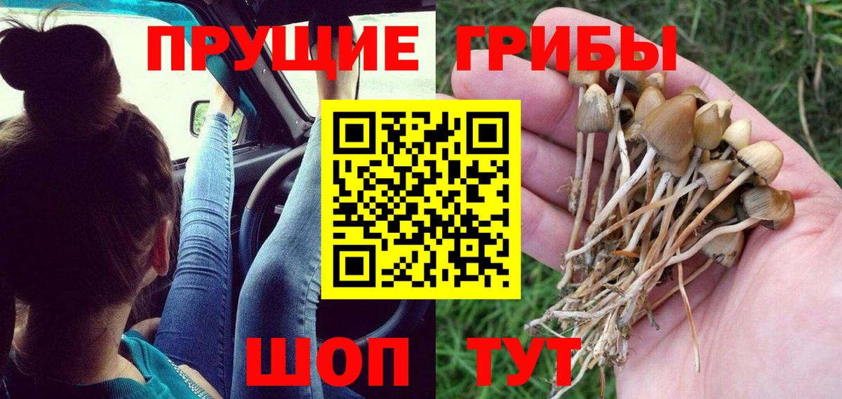 Псилоцибиновые грибы Magic Shrooms  Вход с VPN  Каменка 